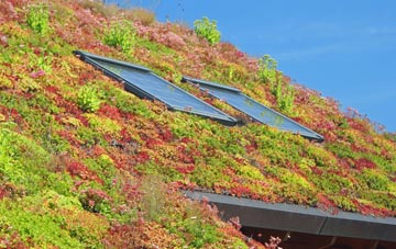 Pilton Green living roof systems